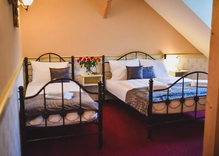 Zamek Kamenny Dvur 4*