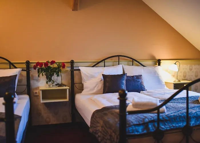 Zamek Kamenny Dvur Hotel Kynsperk nad Ohri